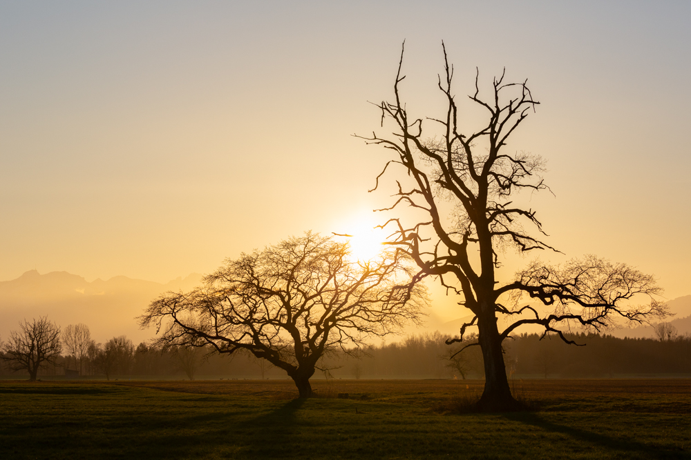 Lauteracherried im Jänner 92